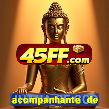 acompanhante de porto feliz